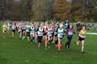 Start of the under-13 girls, Liverpool Cross Challenge. David T. Hewitson/Sports for All Pics